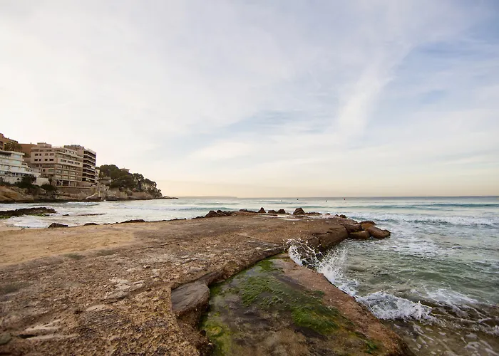 Palma de Mallorca hotels near Es Baluard Museu d'Art Modern i Contemporani de Palma