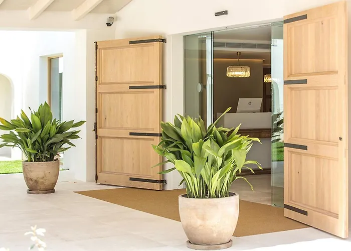 Playa de Palma (Mallorca) Dog Friendly Lodging and Hotels