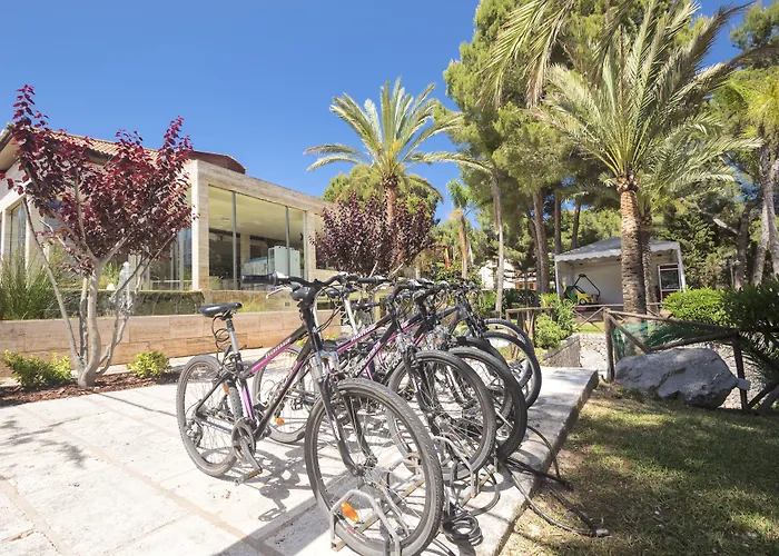 Huisdiervriedelijke Aparthotel Green Garden Cala Ratjada 