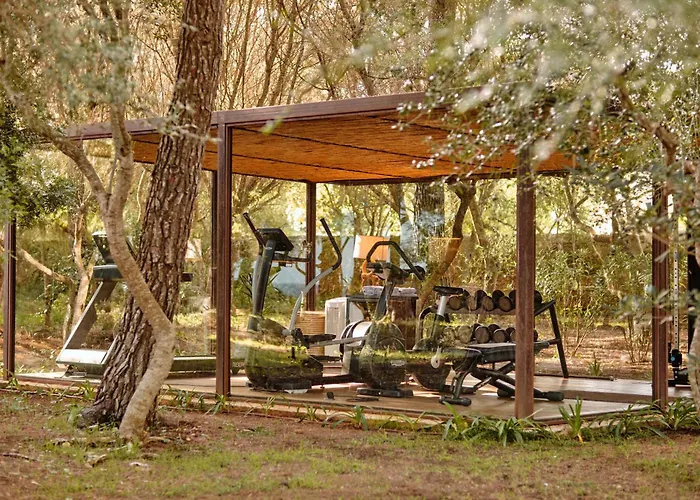 Hotels in Canyamel (Mallorca)
