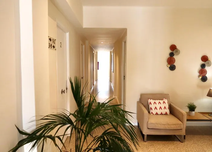 Hostal Jakiton Palmanova admite animales