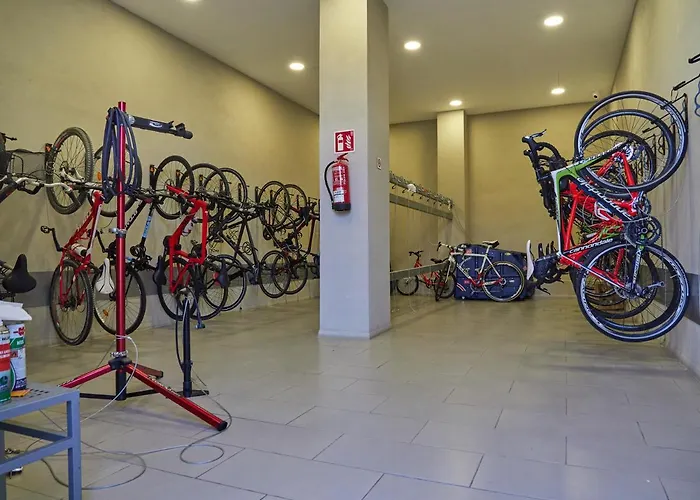 Bq Delfin Azul Hotel Port de Alcudia  - 4 star Hotel